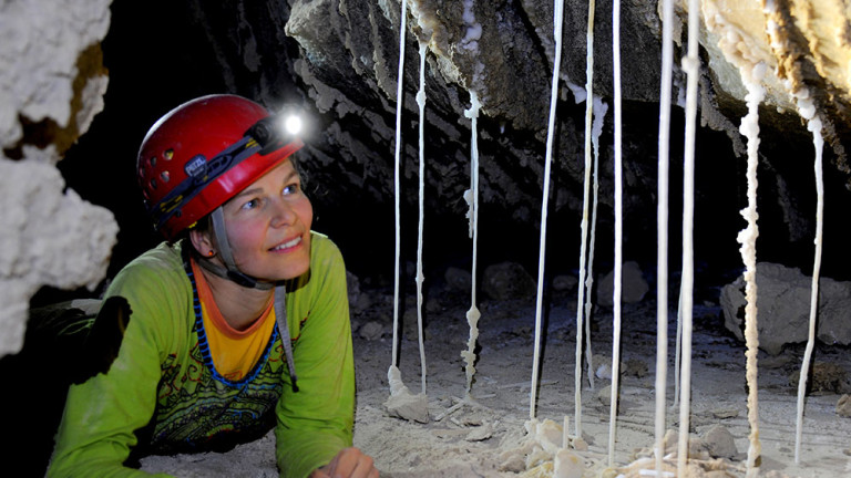 Изображение 407625