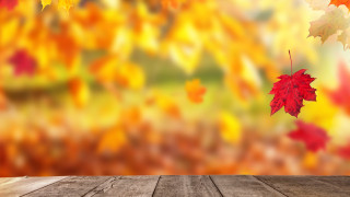 Предстои слънчев и топъл неделен ден На повечето места е възможна