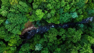 Schneider Electric е отличена от Institutional  Investor като "Най-уважаваната компания в  Европа" за 2022 г.