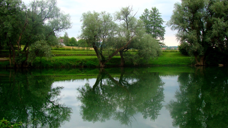 Изображение 239025