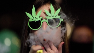 Холандският парламент разреши отглеждането на марихуана