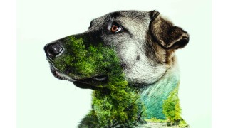 Настоящата 2017 г е към своя край Освен време за