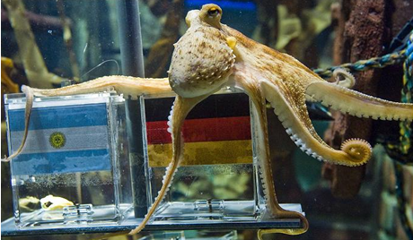 Група във Фейсбук: Убийте германския октопод