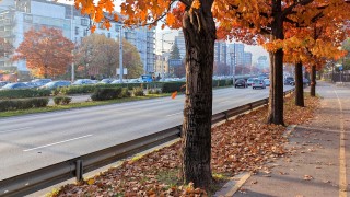 Днес ще се задържи слънчево В сутрешните часове на отделни