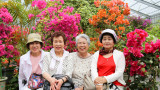 Hara hachi bu - правилото, което прави жителите на Окинава едни от най-дълголетните в света