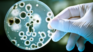 Добре ни е известно че микроскопичните бактерии създават едни от