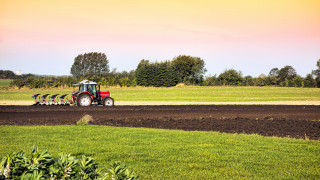 Британците не искат да работят земеделска работа Кой ще събира