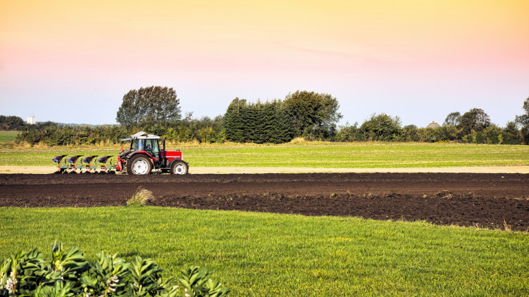 Изображение 371926