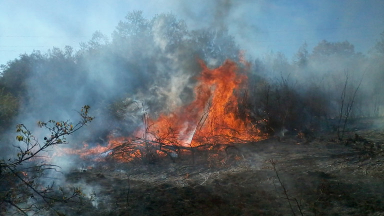 Продължава гасенето на пожара между ямболските села Раздел, Малко Кирилово