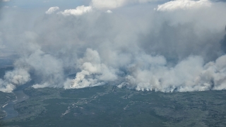 Албърта обяви извънредно положение след като горски пожари се разпространиха