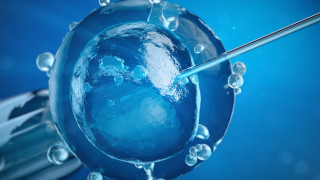 Навършват се 20 години от едно раждане което предизвика широк