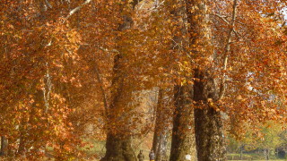 Днес ще е предимно облачно на отделни места главно преди