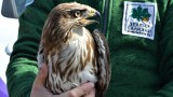7 мишелова полетяха в небето край Кремиковския манастир