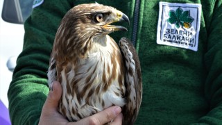 7 мишелова полетяха в небето край Кремиковския манастир