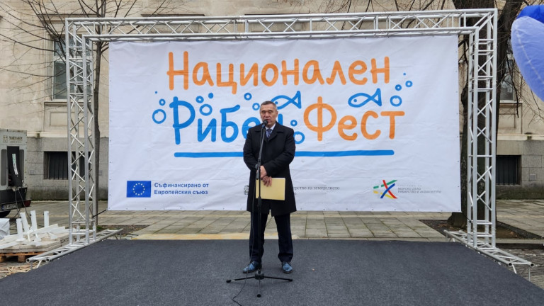 Изображение 743626