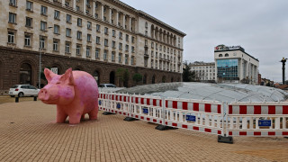Скулптурата на прасето която стана символ на най големите протести в