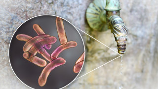 Гражданската защита управлявана от сирийската опозиция съобщи във вторник че