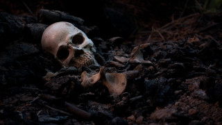 Кой е най-смъртоносният ден в историята на човечеството