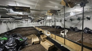 Служители на ОДМВР София разкриха високотехнологична наркооранжерия в покрайнините на Ботевград