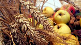 Производствените цени в селското стопанство скочиха с 20%