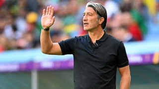 Селекционерът на националния отбор на Швейцария по футбол Мурат Якин