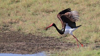 Две нови защитени територии са обявени със заповед на министъра