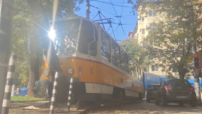 Изображение 736626