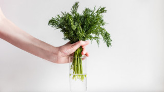 Свежите билки и подправки могат да бъдат черешката на тортата на