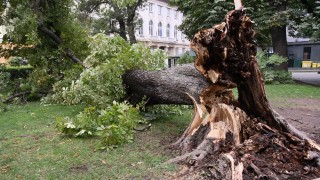Отмениха частичното бедствено положение в Бяла Слатина