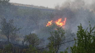 Голям пожар гори в района на Карнобат предаде БНТ В