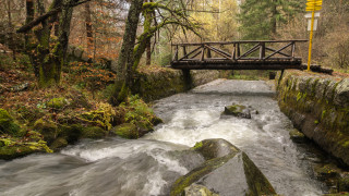 Броят на чуждестранните туристи които пристигат у нас за приключенски
