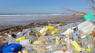 Пластмасовото замърсяване е толкова широкоразпространено в околната среда че може
