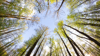 Европейският съюз одобри ключов закон за възстановяване на увредената природа