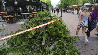 Върху маси и чадъри на заведение в пешеходната част на бул