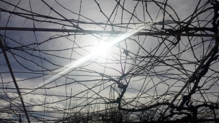 Днес преди обяд над западната половина от страната ще преобладава