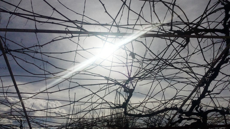 Бял прах замърси въздуха над село Железна