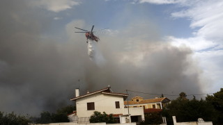 Горски пожар бушува в покрайнините на Атина в събота застрашавайки