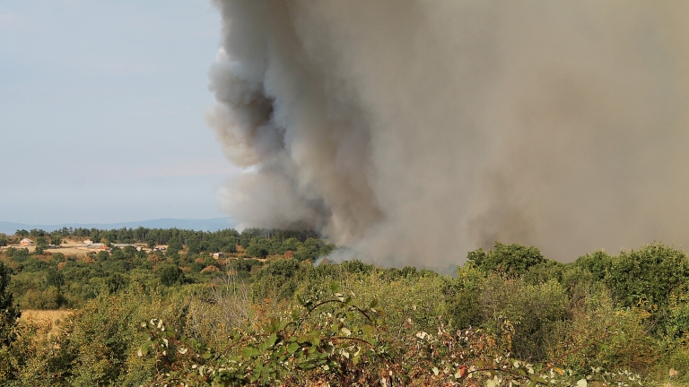 Изображение 250327