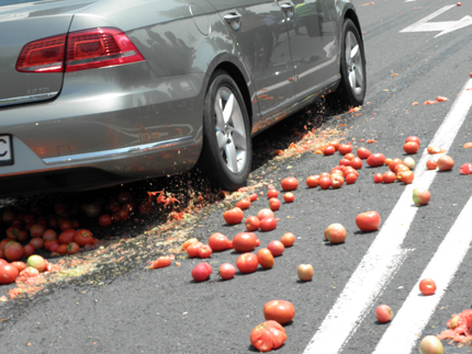 Дини, пъпеши и домати изхвърлиха недоволни производители от Любимец