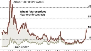 Добра реколта от пшеница в Австрия