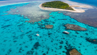 Рекордната топлина в океана нанася опустошителни жертви на едно от най големите