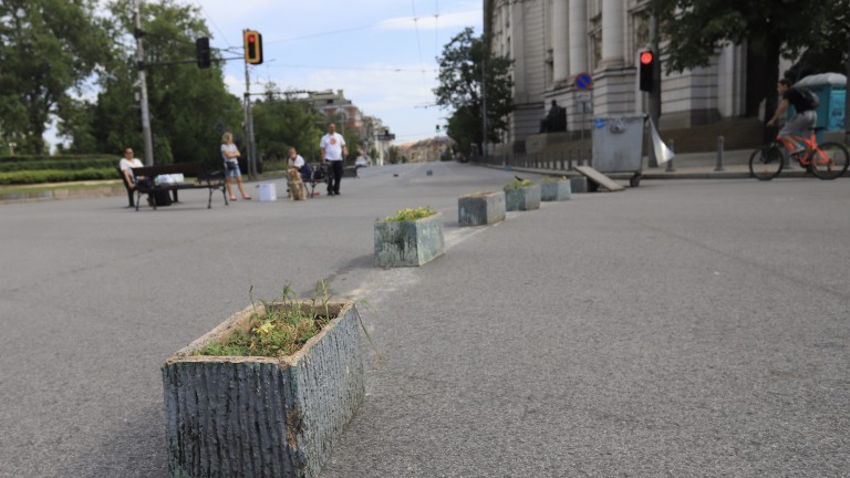 Изображение 491427