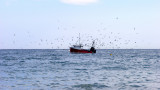  Франция задържа английски траулер, разногласието за риболова се нажежава 