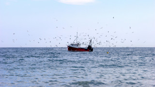 Франция задържа британски траулер извършващ риболов в нейните териториални води
