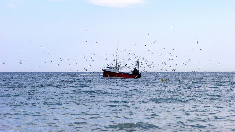 Франция задържа британски траулер, извършващ риболов в нейните териториални води