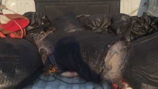 Служители на Изпълнителната агенция по рибарство и аквакултури ИАРА извършват