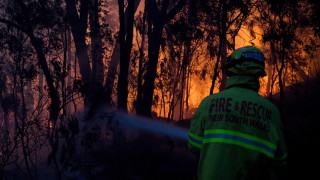 Австралийските власти обявиха извънредно положение заради големите горски пожари предадоха