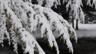 Днес облачността от запад северозапад ще се увеличава до вечерта и