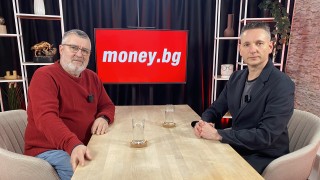 Над 50 процента от доходите на българските пчелари са загубени