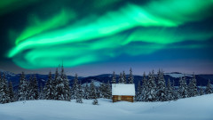 Най-уникалните снимки на северното сияние за 2025 г.